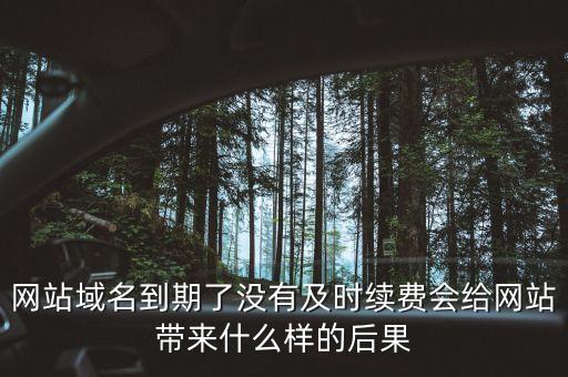 網(wǎng)站域名到期了沒(méi)有及時(shí)續(xù)費(fèi)會(huì)給網(wǎng)站帶來(lái)什么樣的后果