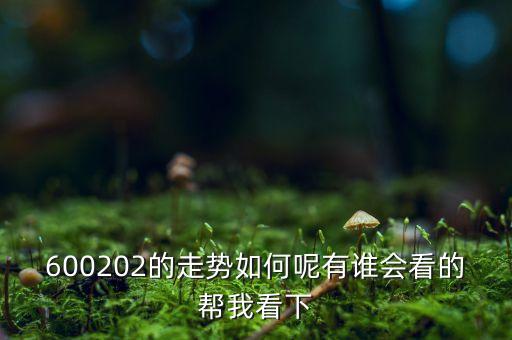 600202有什么概念，誰(shuí)能幫我分析一下600202