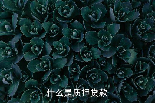 銀行質(zhì)押貸款是什么意思，什么是質(zhì)押貸款