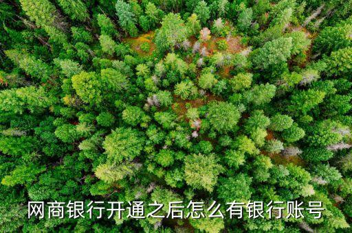 浙江網(wǎng)商銀行為什么不設(shè)物理網(wǎng)點(diǎn)，網(wǎng)商銀行究竟是一個什么樣的存在