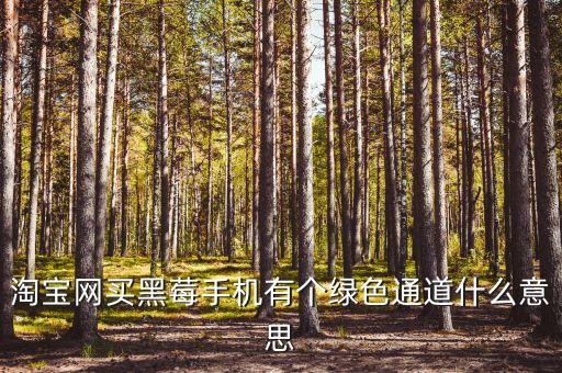 淘寶網買黑莓手機有個綠色通道什么意思