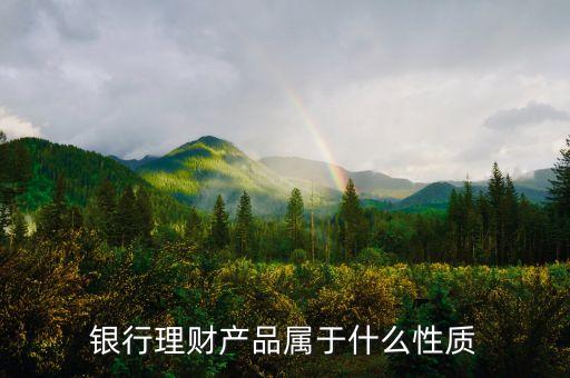 銀行理財產(chǎn)品屬于什么性質(zhì)