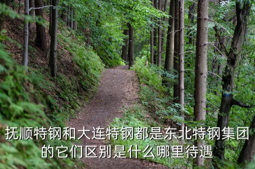 撫順特鋼和大連特鋼都是東北特鋼集團的它們區(qū)別是什么哪里待遇