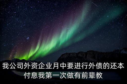 我公司外資企業(yè)月中要進行外債的還本付息我第一次做有前輩教