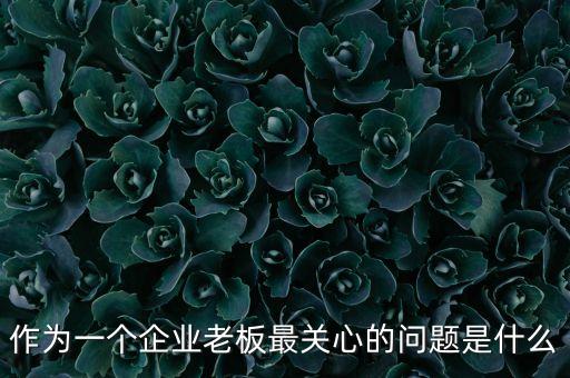 作為一個(gè)企業(yè)老板最關(guān)心的問(wèn)題是什么