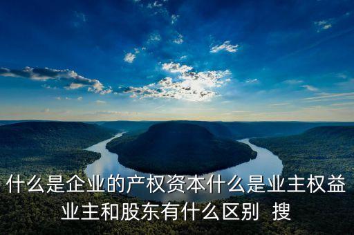 什么是企業(yè)的產(chǎn)權資本什么是業(yè)主權益業(yè)主和股東有什么區(qū)別  搜