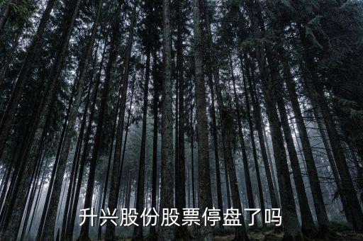 升興股份股票停盤(pán)了嗎