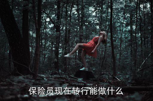 保險員現(xiàn)在轉(zhuǎn)行能做什么