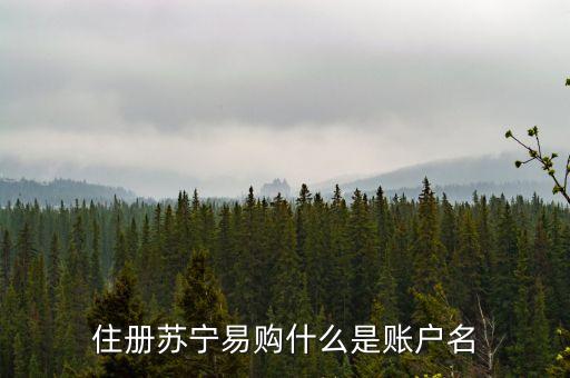 蘇寧昵稱有什么用嗎，住冊蘇寧易購什么是賬戶名