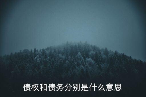 bsp票款債權(quán)是什么，銀行理財(cái)業(yè)務(wù)里面的liborbsp是什么意思
