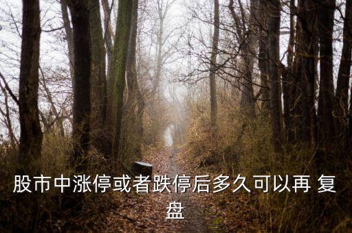 股市中漲?；蛘叩：蠖嗑每梢栽?復(fù)盤