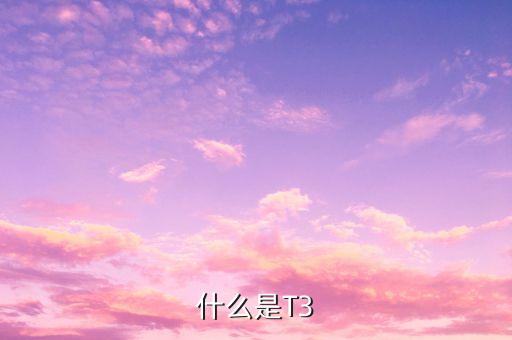 新股申購t十3什么意思，什么是T3
