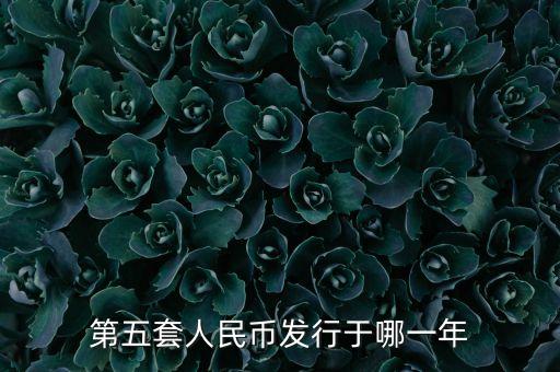 第五套人民幣什么時(shí)候發(fā)行，第五套人民幣什么時(shí)間發(fā)行