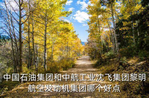 中國石油集團(tuán)和中航工業(yè)沈飛集團(tuán)黎明航空發(fā)動(dòng)機(jī)集團(tuán)哪個(gè)好點(diǎn)