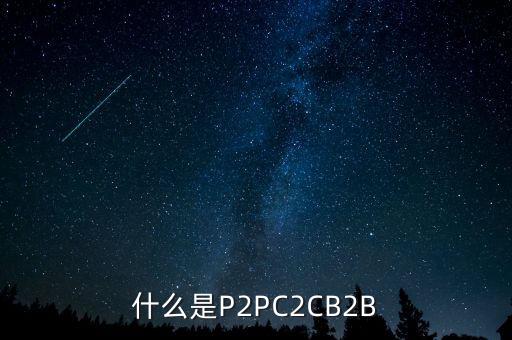 p2p物流是什么，P2P是什么