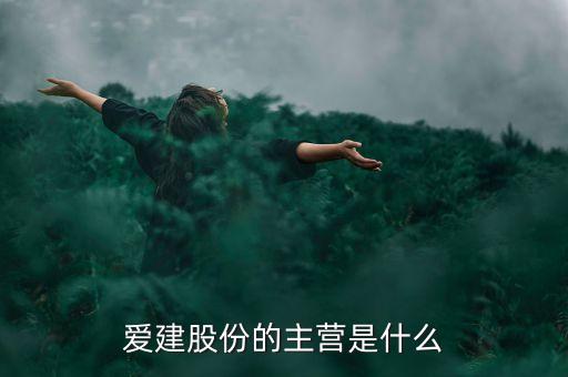 600055的主營(yíng)是什么，神工股份的主營(yíng)業(yè)務(wù)是什么