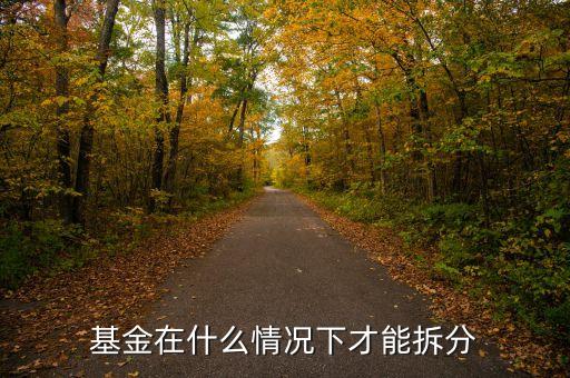 165523基金什么時候下拆了，基金在什么情況下才能拆分