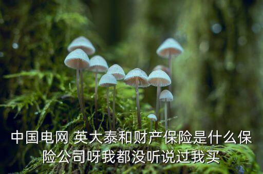 中國電網 英大泰和財產保險是什么保險公司呀我都沒聽說過我買