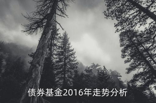 2016年的債券的投資的方向是什么，債券基金2016年走勢分析