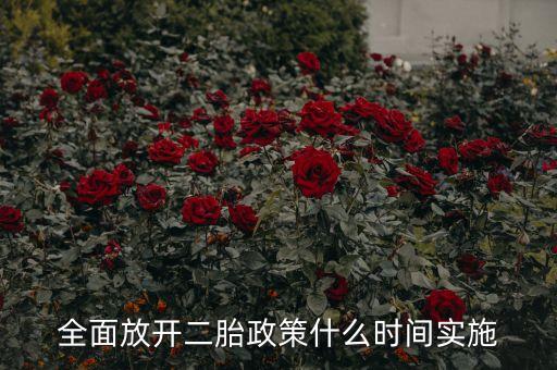 國家生二胎什么實施，國家二孩生育政策什么時候可以實施