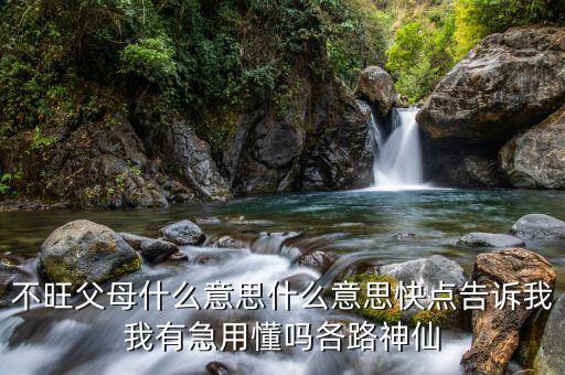 不旺父母什么意思什么意思快點(diǎn)告訴我我有急用懂嗎各路神仙