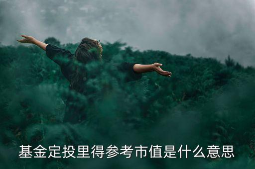基金的參考市值是什么，基金定投里得參考市值是什么意思