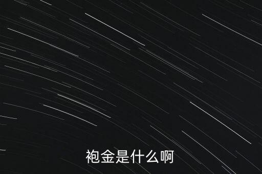 什么是董事酬金，袍金是什么啊