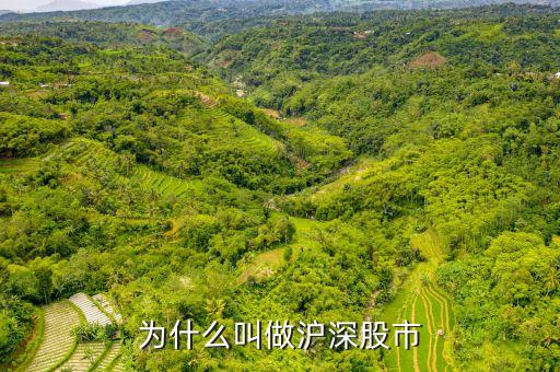 滬深指什么，為什么叫做滬深股市