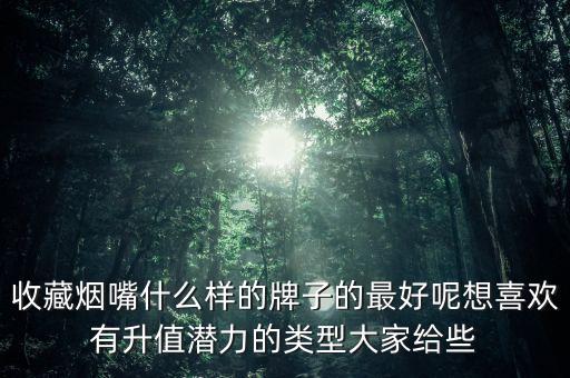 收藏?zé)熥焓裁礃拥呐谱拥淖詈媚叵胂矚g有升值潛力的類(lèi)型大家給些