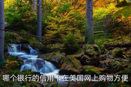 哪個銀行的信用卡在美國網上購物方便