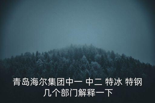 海爾內(nèi)銷是什么意思，有帶鎖的冰箱么冷藏冷凍功能都要有的謝謝