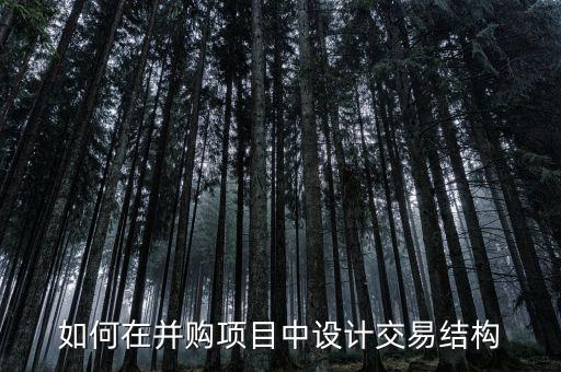 如何在并購項目中設計交易結(jié)構(gòu)