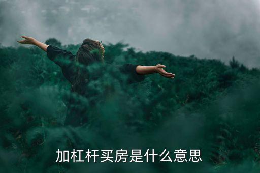 房貸杠桿是什么意思，買一手房比二手房更能撬動(dòng)貸款杠桿是什么意思