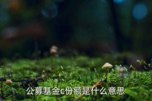 什么是c類份額，基金a類和c類的區(qū)別是什么