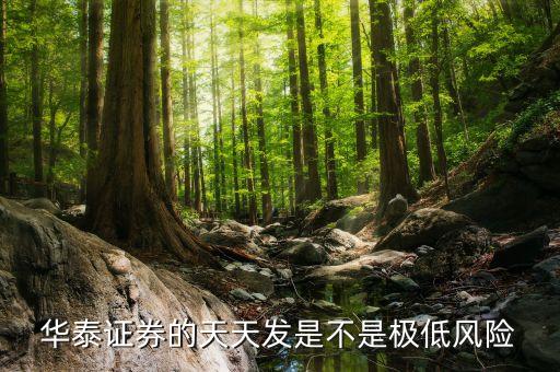 華泰證券的天天發(fā)是不是極低風(fēng)險(xiǎn)
