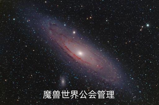什么是雙ceo制，PIS可以把BURNING趕跑C位試問還有誰可以做到
