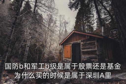 國防b和軍工b級是屬于股票還是基金為什么買的時候是屬于深圳A里