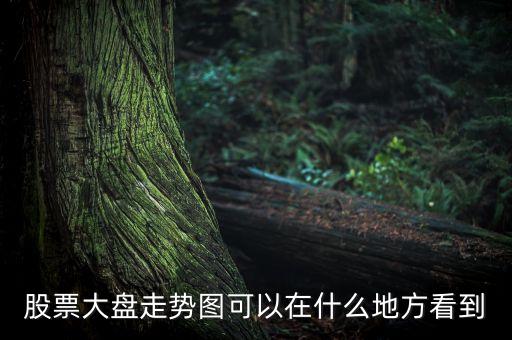 股票大盤(pán)走勢(shì)圖可以在什么地方看到