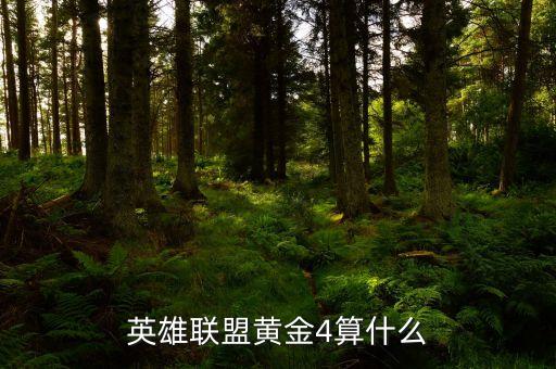 黃金4級別是什么，黃金四級有什么好處