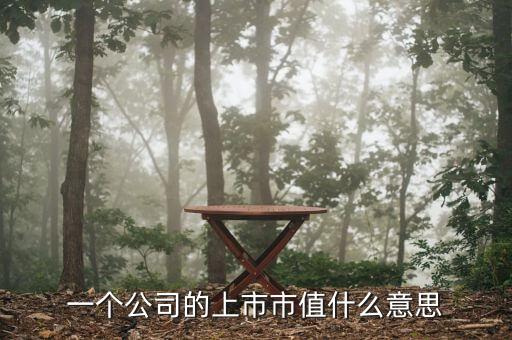 一個公司的上市市值什么意思