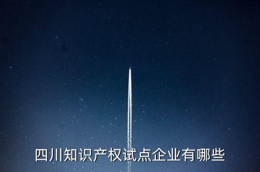 四川知識(shí)產(chǎn)權(quán)試點(diǎn)企業(yè)有哪些