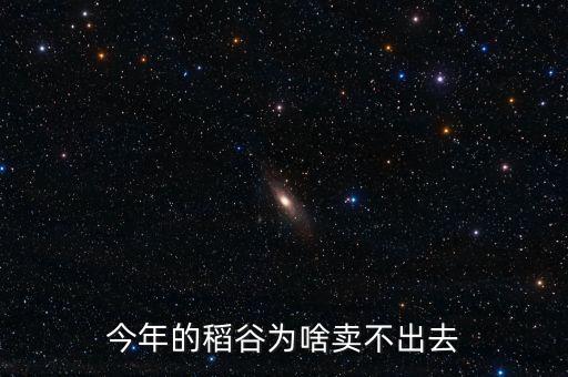 今年的稻谷為啥賣(mài)不出去