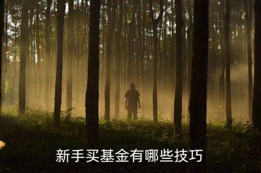 新手買(mǎi)基金有哪些技巧