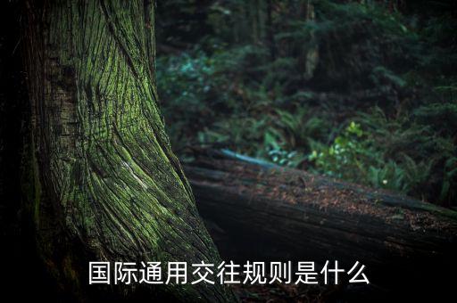 國(guó)際通用交往規(guī)則是什么