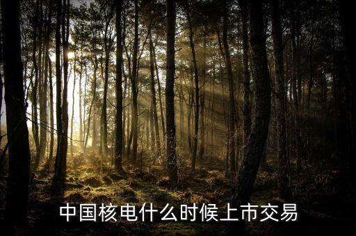 什么時候宣布中英核電簽約，中萄聯(lián)合聲明簽訂于什么時期