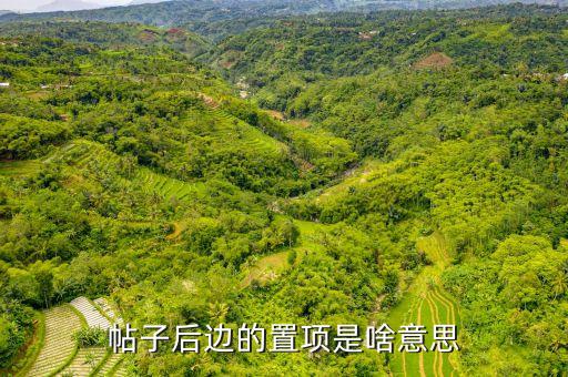 置項(xiàng)是什么意思，QQ空間里的置項(xiàng)是什么意思