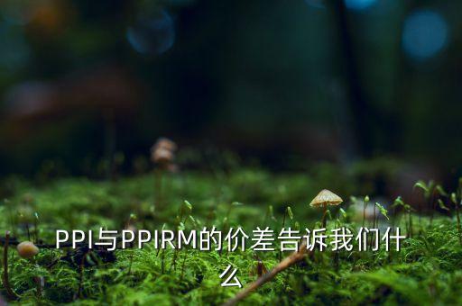 PPI與PPIRM的價(jià)差告訴我們什么