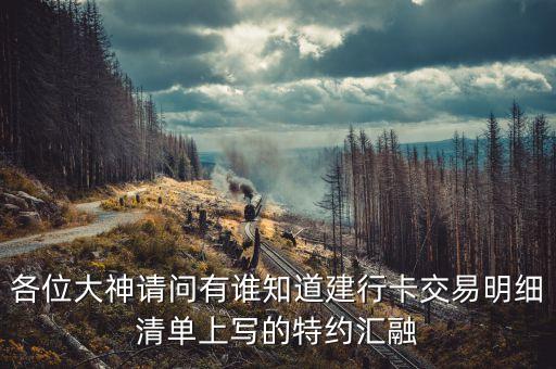 各位大神請問有誰知道建行卡交易明細(xì)清單上寫的特約匯融