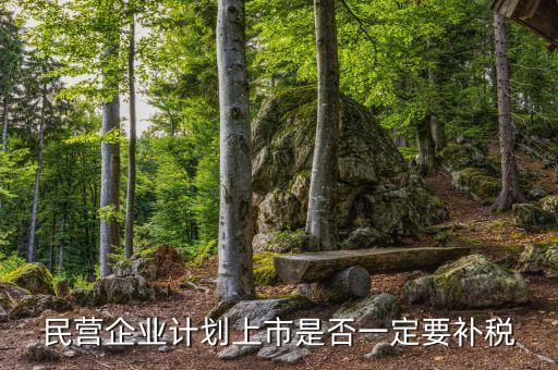 民營(yíng)企業(yè)計(jì)劃上市是否一定要補(bǔ)稅
