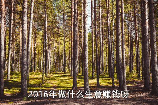 2016做什么能發(fā)財，2016年做什么生意賺錢呀